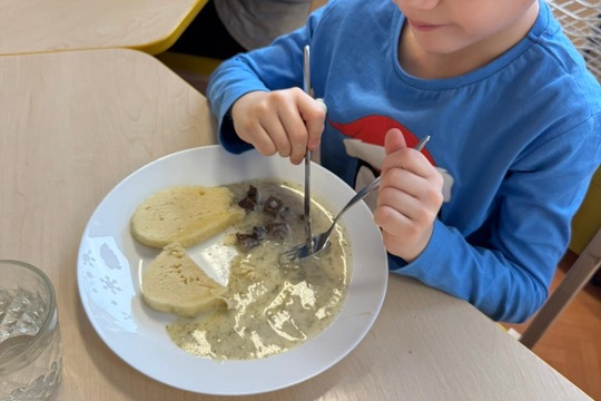 Třída Veverky - Kopr z hydroponické zahrádky 1
