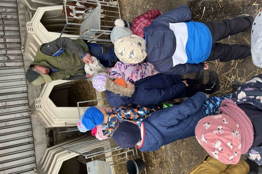 Návštěva telátek v kravíně 1