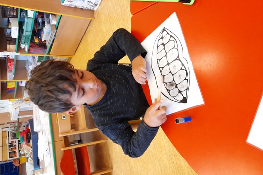 Zubínek a Pořádníček u nás doma 1