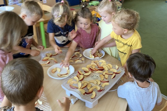 Přípravy a sušení křížal - Berušky 1