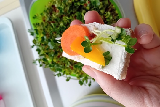 Co je u nás nového? 1