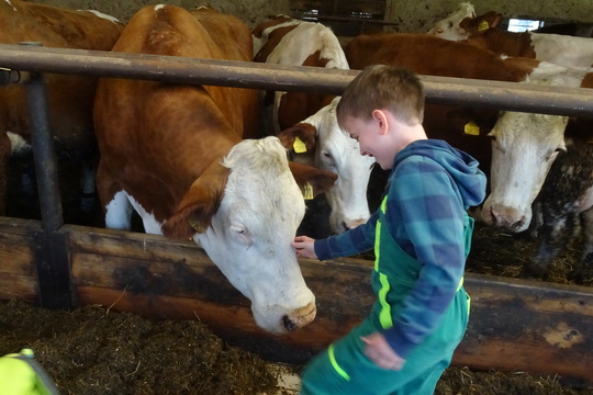 Navštívili jsme místní Ekofarmu Javorník 1