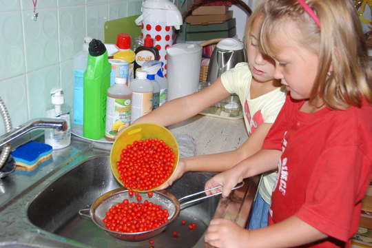 Zavařujeme, děláme křížaly a lisujeme šťávy 1