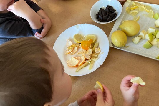 Kytičky a Koťátka z MŠ Kollárova-"Moje tělo-smysly" 1