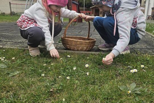 Cesta za tajemstvím babiččiny kuchyně: JARO a SÍLA probouzející se přírody 1