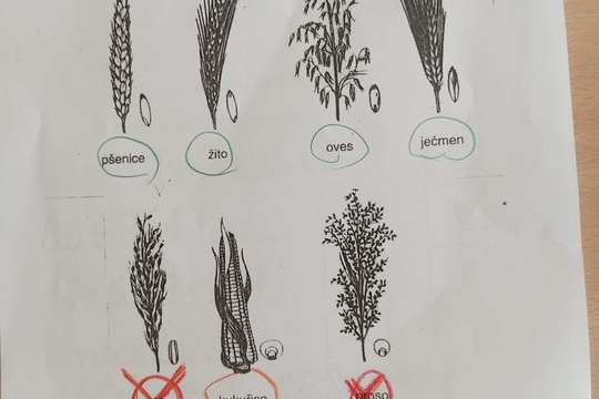 Za poznáním života na bio farmě v Úlovicích Za poznáním života na bio farmě v Úlovicích 1