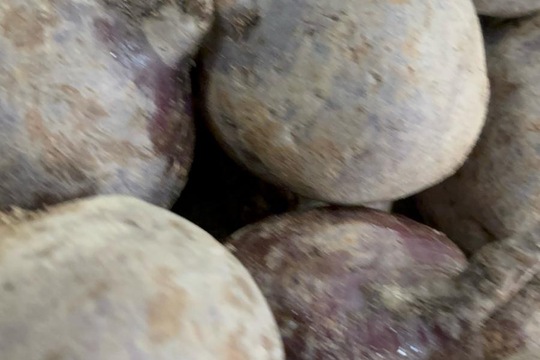 Farmářský obchod  1