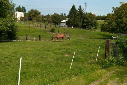 Výlet na Kozí farmu 1