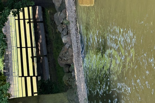 MŠ Sluníčko na výletě - Zoopark Chomutov 1