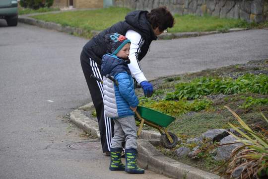 Jak jsme zimovali naši zahradu 1