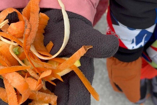 Ptáci v zimě Ptáci v zimě 1