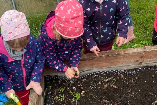 Děti z MŠ ukončily zahradnickou sezonu  1