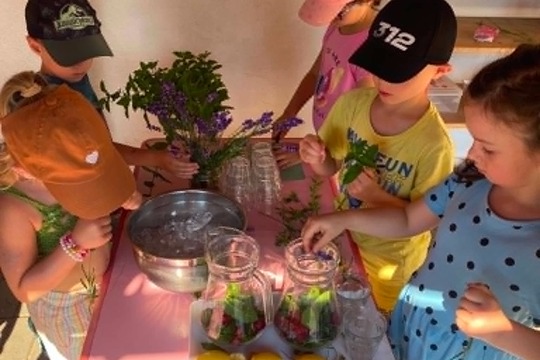 Společně na dálku: Domácí ovocná limonáda plná letních chutí 1