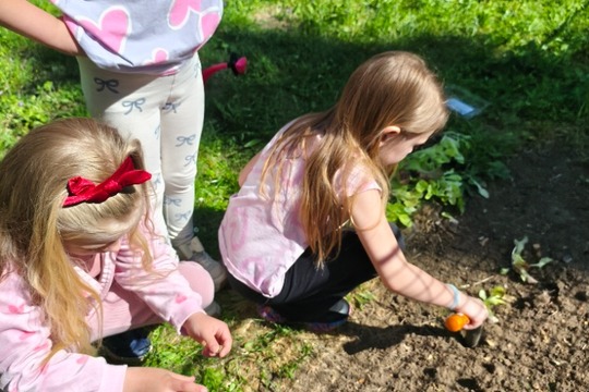 Naše malá školková zahrádka jen kvete Naše malá školková zahrádka jen kvete 1