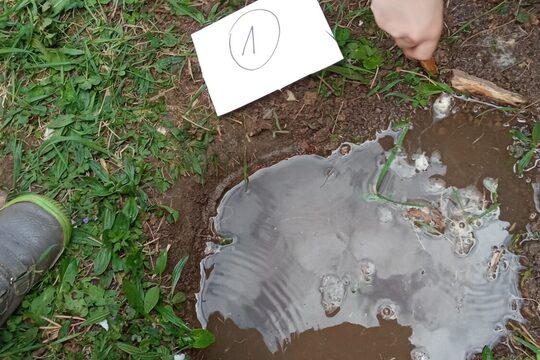 Klimatická zahrada Klimatická zahrada 1