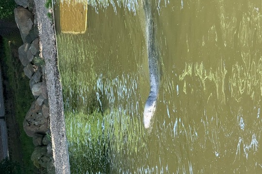 MŠ Sluníčko na výletě - Zoopark Chomutov 1