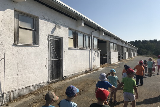 Děti z Ořechova viděly chov telátek, krav a prasat 1