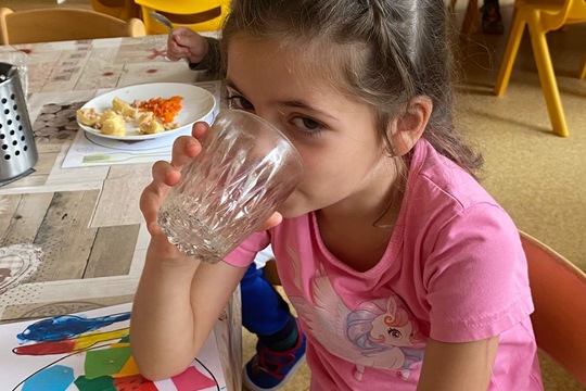 Děti vyráběly sirup proti rýmě z rýmovníku 1