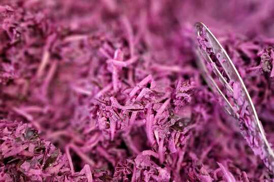 Zeleninový bar plný barev a chutí 1