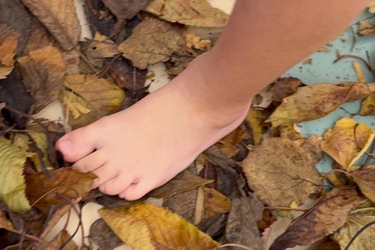 Jsme školka v pohybu Jsme školka v pohybu 1