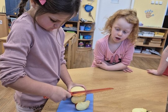 Noví šnečí kamarádi  1