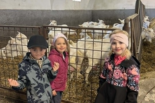 Třída Sluníček na výletě za poznáním i chutí Třída Sluníček na výletě za poznáním i chutí 1