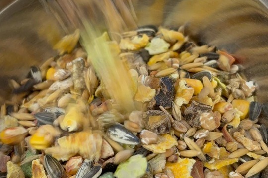 Naše zvířata - naše starost  1