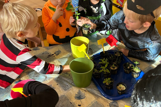 Péče o bylinky z hydroponické zahrádky Péče o bylinky z hydroponické zahrádky 1