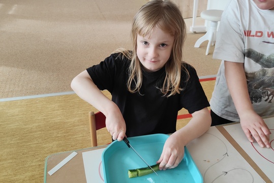 "Pomož mi, abych to udělal sám" 1