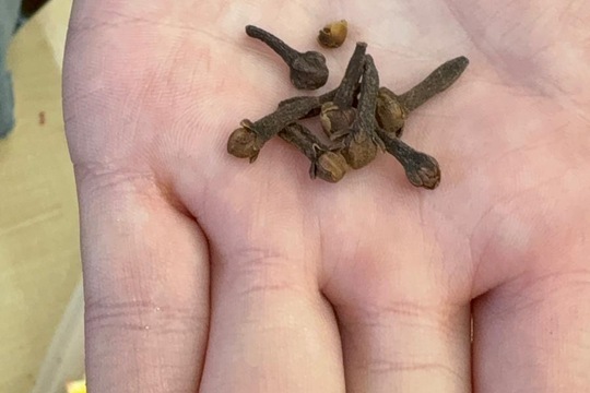 Vánoční pečený čaj  1