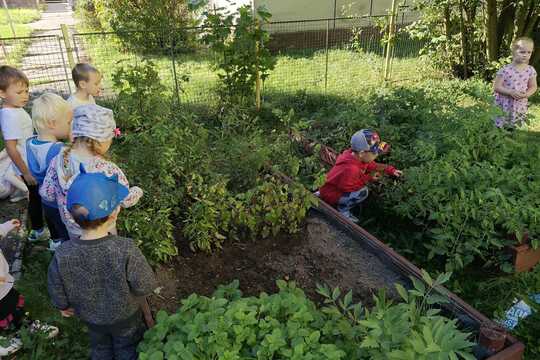 Odpolední sklizeň ze školní zahrady. Odpolední sklizeň ze školní zahrady. 1