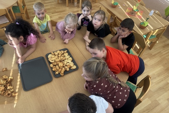 Pečení s maminkou 1