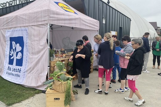 Díky podpoře společnosti Lidl se v Ludgeřovicích otevřela nová jedlá školní zahrada 1