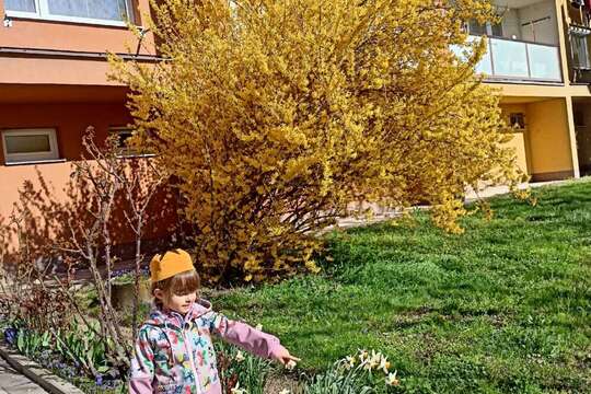 Nezahálíme, a učíme se i na vycházce 1