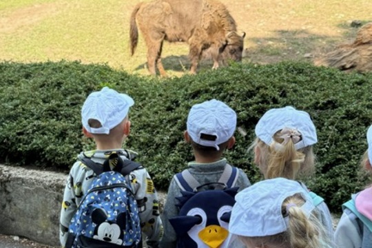 MŠ Sluníčko na výletě - Zoopark Chomutov 1