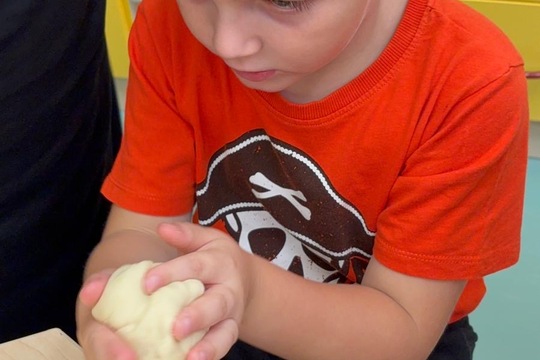 Domácí bulky s vlastním mákem  1