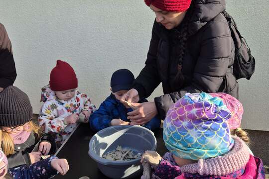 Zasaď dobro s kuřátkem  1