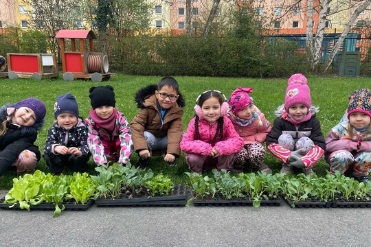 Zahrada, která voní po spolupráci-naše spojení s místní farmou  1