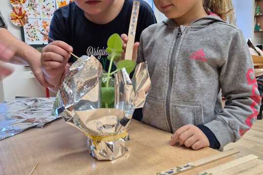 Množíme a přesazujeme nové rostlinky 1