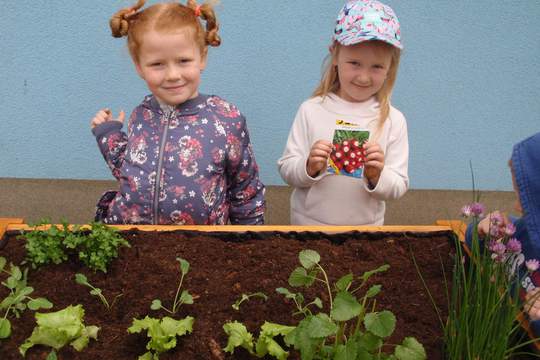 Společně s dětmi si pěstujeme bylinky 1