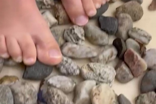 Jsme školka v pohybu Jsme školka v pohybu 1