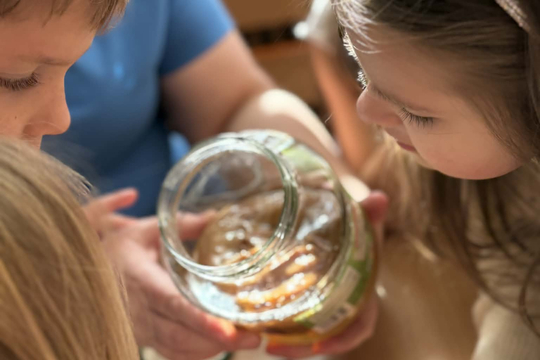 Darovanému koni na zuby nehleď.. 1