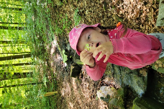 Studánková víla a čištění studánek 1