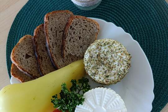 MŠ vyrábí sýry 1