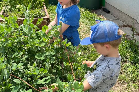 Vyvýšené záhony  1