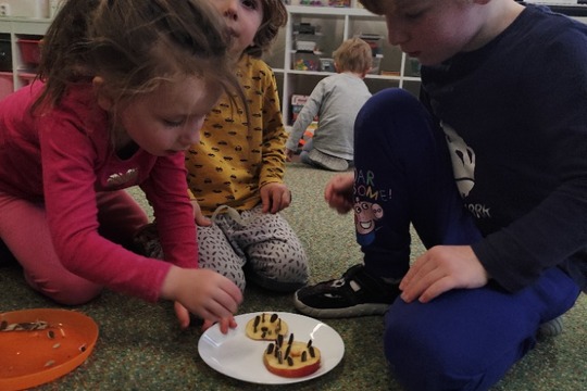 Jablečná krmítka pro ptáčky 1