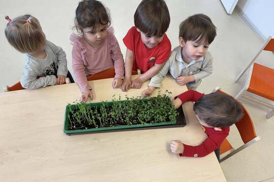 Microgreens u našich nejmenších 1
