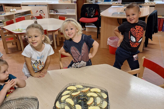 Želvičky z MŠ Dukelských hrdinů - Sušení jablíček 1