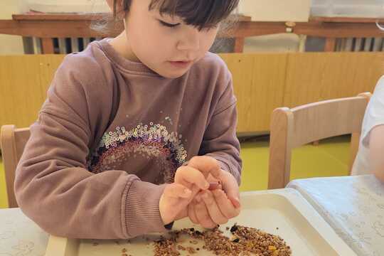 Výroba lojových koulí pro ptáčky 1