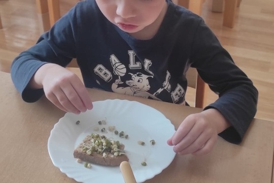 Nákup ve Zdravé výživě 1